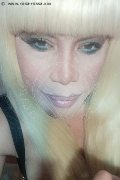 Milano Trans Nicole Vip Venturiny 353 35 38 868 foto selfie 352