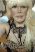 Milano Trans Escort Nicole Vip Venturiny 353 35 38 868 foto selfie 579