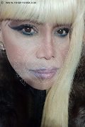 Milano Trans Escort Nicole Vip Venturiny 353 35 38 868 foto selfie 234