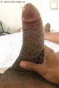  Trans Paula Xxl 376 29 61 336 foto selfie 11