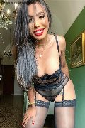 Gallarate Trans Escort Thayys Castro 329 72 89 046 foto selfie 29