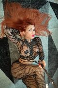 Roma Trans Wendy 320 15 06 080 foto selfie 12