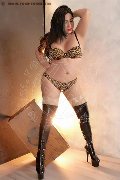 Foto Immagine Sofia Vargas Transescort Anversa 3495436989 - 26