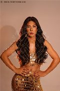 Foto Immagine Sophia Brasiliana Xxl Trav Milano 3446989173 - 15