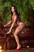 Foto Immagine Sophie Vergara Transescort Torino 3516700925 - 12