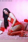 Foto Immagine Sophie Vergara Transescort Torino 3516700925 - 9
