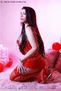 Foto Immagine Sophie Vergara Transescort Torino 3516700925 - 8