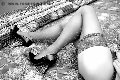 Foto Immagine Stefy Transescort Milano 3336393025 - 53