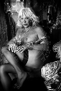 Foto Immagine Trans Evolution Trans Bari 3911863087 - 52