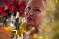 Foto Immagine Trans Evolution Trans Bari 3911863087 - 11