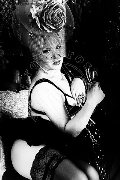 Foto Immagine Trans Evolution Trans Bari 3911863087 - 87