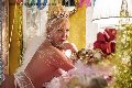 Foto Immagine Trans Evolution Transescort Bari 3911863087 - 55