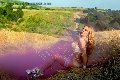 Foto Immagine Ts Angelina Crazy Sexy Trans Francoforte 00491788993648 - 21
