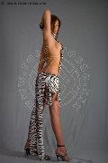 Foto Immagine Valeria Transescort Treviso 3388718849 - 186
