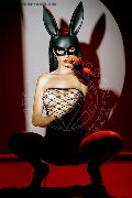 Foto Immagine Vanessa Hilton Trans Brescia 3245846577 - 131
