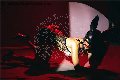 Foto Immagine Vanessa Hilton Trans Modena 3245846577 - 132