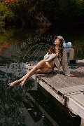 Foto Immagine Vanessa Hilton Trans Modena 3245846577 - 59