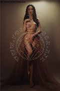 Foto Immagine Vanessa Hilton Transescort Modena 3245846577 - 40