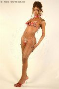 Foto Immagine Vick Campana Trans Roma 3486445725 - 3