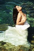 Foto Immagine Victoria Luxo Trans Ginevra 0041766140309 - 55