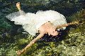 Foto Immagine Victoria Luxo Transescort Ginevra 0041766140309 - 63