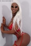 Foto Immagine Virna La Super Dotata Trans Milano 3494393969 - 8