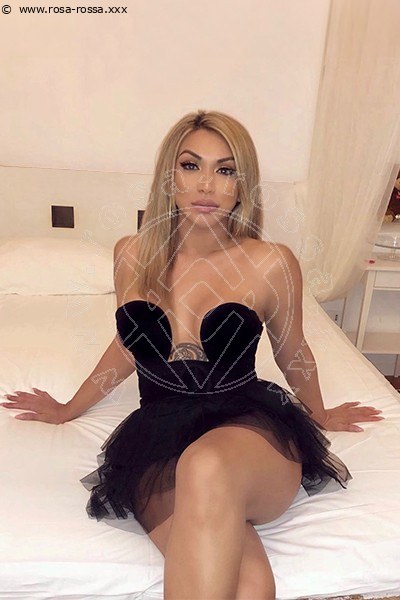 Angel Bunny  VERONA 3474642611