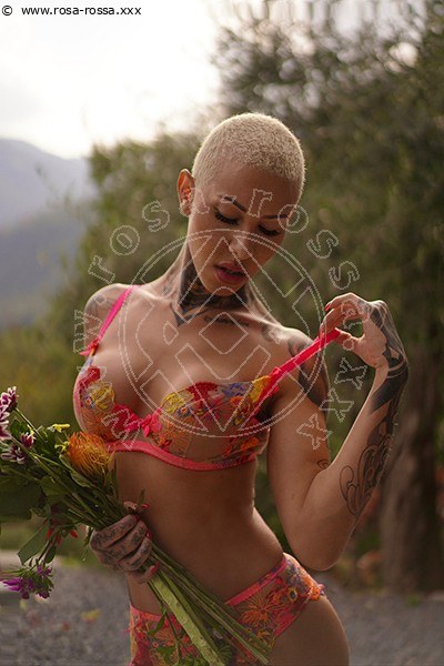 Ath�na  MILANO 3270729765