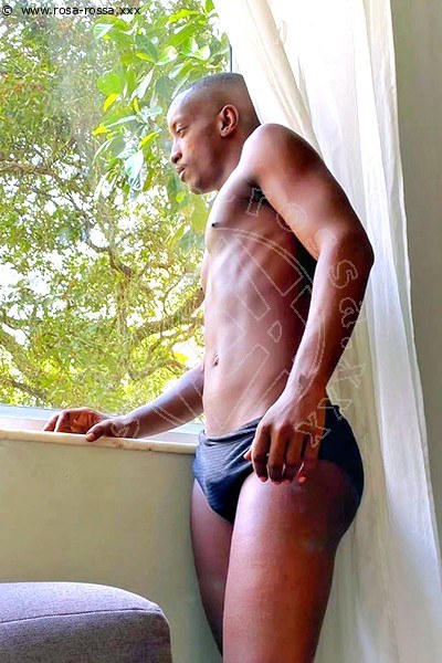 Henrico Black Brasiliano  LUGANO 0041767905209