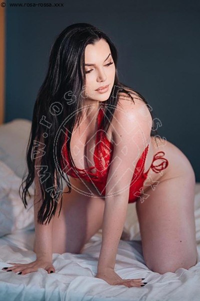 Morellya  MODENA 3384148193