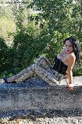 Foto Immagine Adriana Paulett Transescort 3891399263 - 319