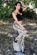 Foto Immagine Adriana Paulett Transescort 3891399263 - 311
