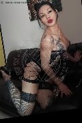 Foto Immagine Adriana Paulett Transescort 3891399263 - 107