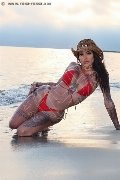 Foto Immagine Bruninha Trans Avellino 3508578851 - 31