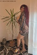 Foto Immagine Carolina Sexy Transescort Siena 3486599498 - 10