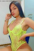 Foto Immagine Celeste New Trans Civitanova Marche 3511837392 - 25