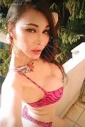 Foto Immagine Dana Trans Kriens 3337834320 - 1