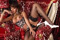 Foto Immagine Daniella Souza Transescort Parma 3514796527 - 20