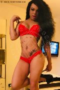 Foto Immagine Dior Trans Genova 3472825420 - 482