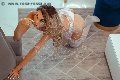 Foto Immagine Eduarda Vogue Trans Alessandria 3478447704 - 86