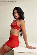 Foto Immagine Elisa Travescort Genova 3512604780 - 17