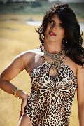 Foto Immagine Flavia Bambola Trav Basilea 3313153877 - 88
