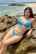 Foto Immagine Flavia Trans Como 3201153101 - 12
