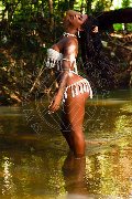 Foto Immagine Hillary Brasiliana Trans Alba Adriatica 3384136322 - 96