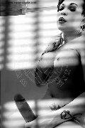 Foto Immagine Hot Dior Transescort Genova 3472825420 - 140
