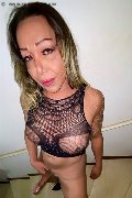 Foto Immagine Hot Mishelly Trans Torre Del Lago Puccini 3883557384 - 2
