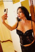 Foto Immagine Ladyboy Carlina Transescort Torino 3509576839 - 3