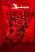 Foto Immagine Lilith Escort Belluno 3505938218 - 3