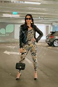 Foto Immagine Luisa Transescort Dalmine 3343213842 - 10