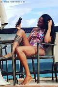 Foto Immagine Naomy Xl Trans Bologna 3290167932 - 152